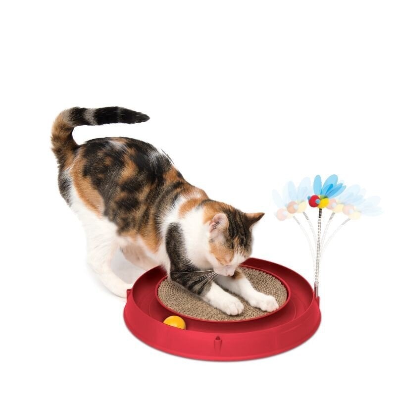 Žaislas katėms su draskykle Catit Play, 37 cm kaina ir informacija | Žaislai katėms | pigu.lt