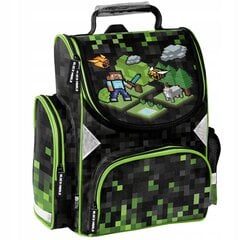 Mokyklinė kuprinė Paso Pixel PP23XL-525, 36x28x15 cm цена и информация | Школьные рюкзаки, спортивные сумки | pigu.lt