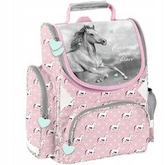 Mokyklinė kuprinė Paso Horse PP23KO-525, 36x28x15 cm цена и информация | Школьные рюкзаки, спортивные сумки | pigu.lt