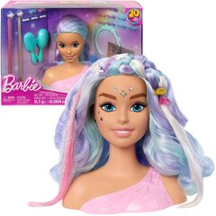 Komplektas stiliaus galva Barbie keičia spalvą 20 vnt. kaina ir informacija | Žaislai mergaitėms | pigu.lt