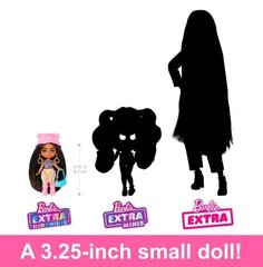 Lėlė Barbie Extra Fly Mini Minis Safari kaina ir informacija | Žaislai mergaitėms | pigu.lt