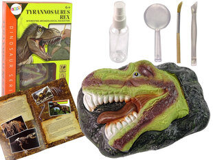 Образовательный набор для раскопок, динозавр Трицератопс цена и информация | Развивающие игрушки | pigu.lt