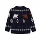 Džemperis berniukams Esprit, mėlynas kaina ir informacija | Megztiniai, bluzonai, švarkai berniukams | pigu.lt