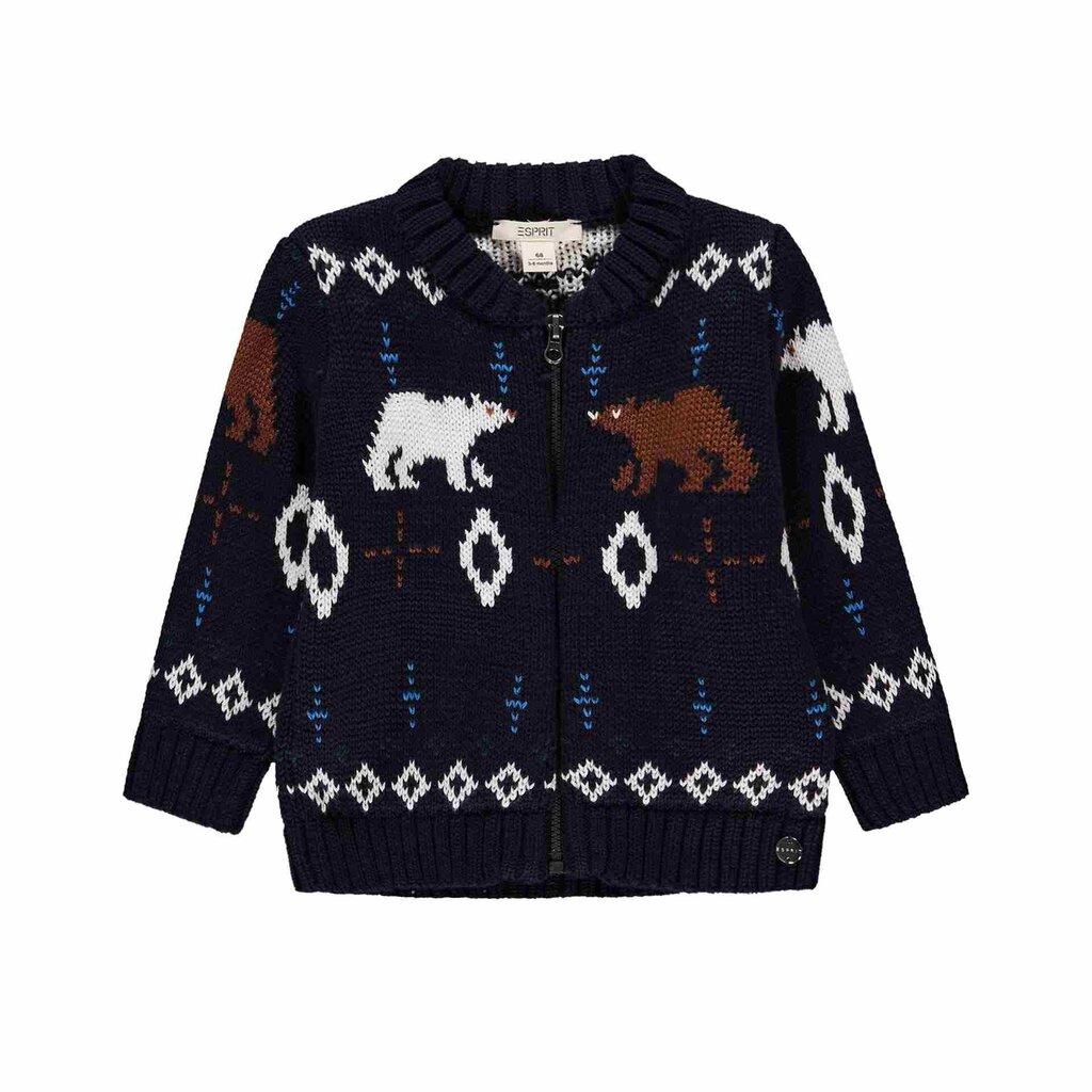 Džemperis berniukams Esprit, mėlynas цена и информация | Megztiniai, bluzonai, švarkai berniukams | pigu.lt
