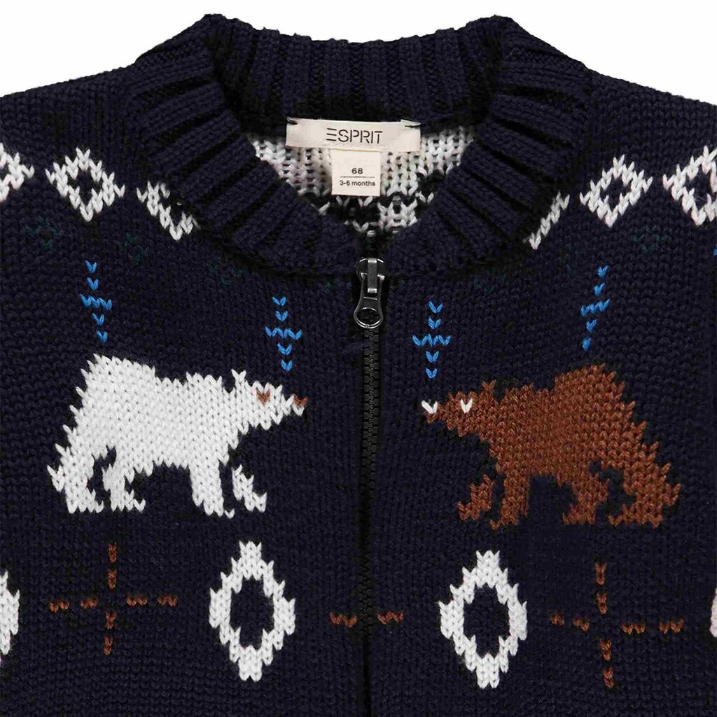 Džemperis berniukams Esprit, mėlynas kaina ir informacija | Megztiniai, bluzonai, švarkai berniukams | pigu.lt