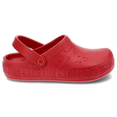 Шлепанцы Big Star 10336-18 цена и информация | Детские тапочки, домашняя обувь | pigu.lt
