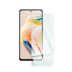 Закаленное стекло Blue Star 9H для Xiaomi Redmi Note 12 Pro (6,67″) цена и информация | Защитные пленки для телефонов | pigu.lt