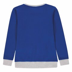 Džemperis berniukams Polo, mėlynas kaina ir informacija | Megztiniai, bluzonai, švarkai berniukams | pigu.lt
