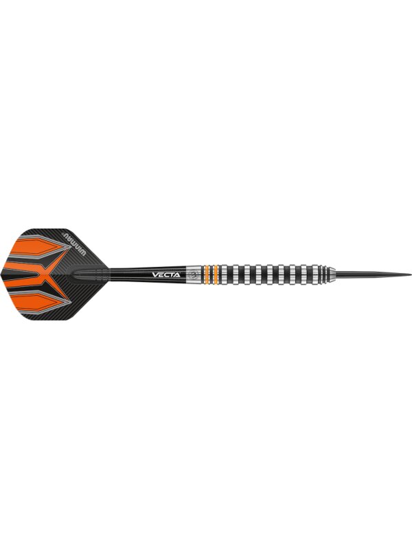 Smiginio strėlytės Winmau Fury, 22 g kaina ir informacija | Smiginis | pigu.lt