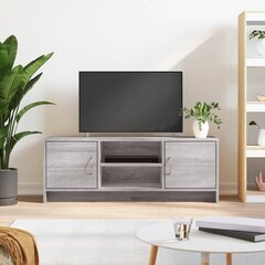 Televizoriaus spintelė vidaXL, 102x30x37,5 cm, pilka kaina ir informacija | TV staliukai | pigu.lt