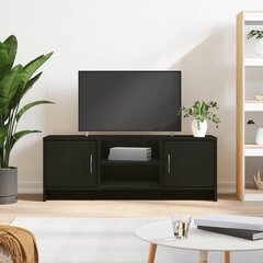 Televizoriaus spintelė vidaXL, 102x30x37.5 cm, juoda kaina ir informacija | TV staliukai | pigu.lt