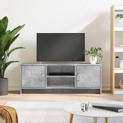 Televizoriaus spintelė vidaXL, 102x30x37.5 cm, pilka kaina ir informacija | TV staliukai | pigu.lt