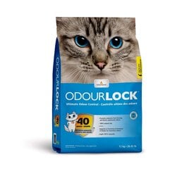 Наполнитель для кошачьего туалета без запаха Intersand OdourLock Multi-Cat, 12 кг цена и информация | Наполнитель для кошек | pigu.lt