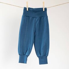 Брюки для мальчиков, синие цена и информация | Детские брюки 62 см, черные | pigu.lt