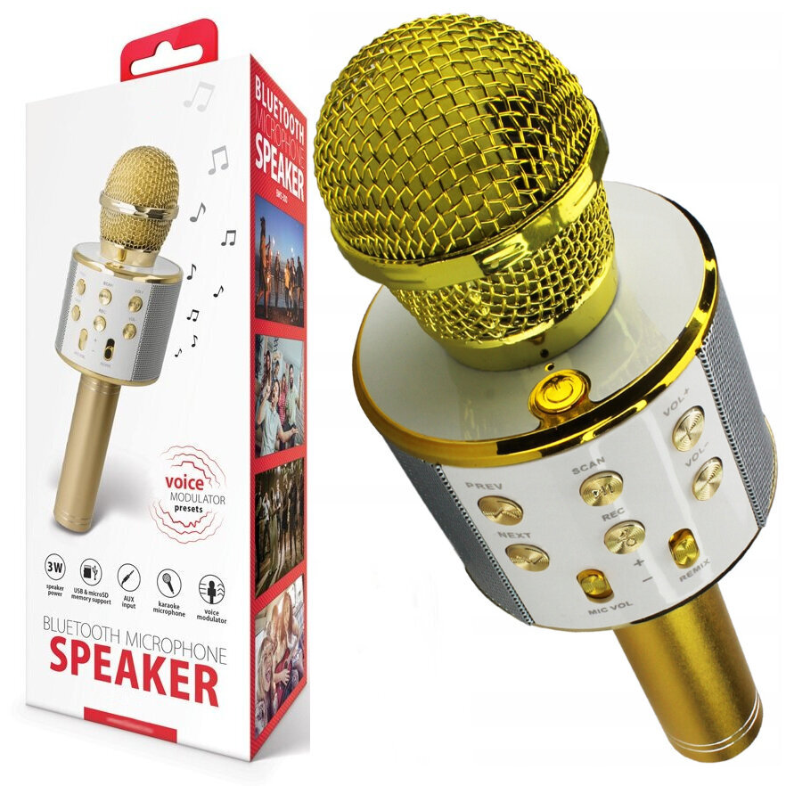 Karaoke mikrofonas su bluetooth garsiakalbiu, auksinis kaina ir informacija | Lavinamieji žaislai | pigu.lt