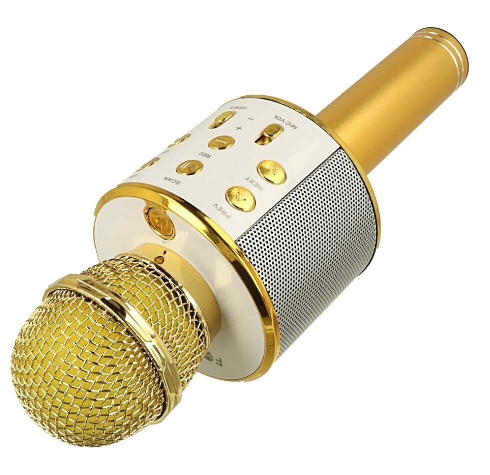 Karaoke mikrofonas su bluetooth garsiakalbiu, auksinis kaina ir informacija | Lavinamieji žaislai | pigu.lt