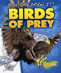 Birds of Prey цена и информация | Книги для подростков  | pigu.lt