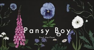 Pansy Boy kaina ir informacija | Fantastinės, mistinės knygos | pigu.lt