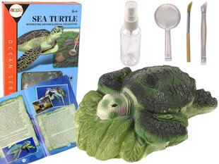 Образовательный набор, черепаха цена и информация | Развивающие игрушки | pigu.lt