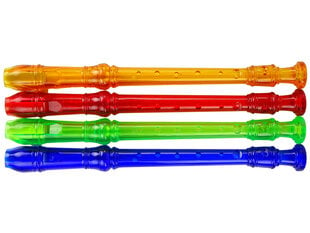 Vaikiškas muzikinis instrumentas fleita, 33 cm kaina ir informacija | Lavinamieji žaislai | pigu.lt