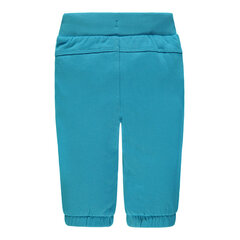 Спортивные брюки для мальчиков, синие цена и информация | Штаны для младенцев | pigu.lt