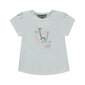 Marškinėliai mergaitėms Kanz, pilki цена и информация | Marškinėliai kūdikiams | pigu.lt
