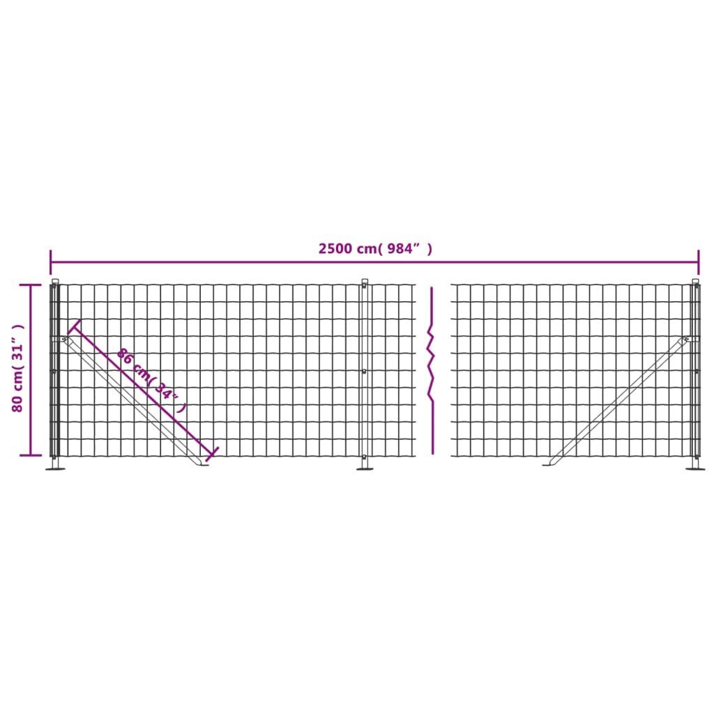 Vielinė tinklinė tvora vidaXL 0,8x25m цена и информация | Tvoros ir jų priedai | pigu.lt