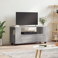 Televizoriaus spintelė vidaXL, 102x34,5x43 cm, pilka kaina ir informacija | TV staliukai | pigu.lt