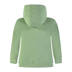 Džemperis berniukams Kanz, žalias kaina ir informacija | Megztiniai, bluzonai, švarkai berniukams | pigu.lt