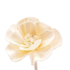 Namų kvapas su gėle Prady Lily, 90 ml kaina ir informacija | Namų kvapai | pigu.lt