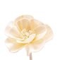 Namų kvapas su gėle Prady Belle Epoque, 90 ml kaina ir informacija | Namų kvapai | pigu.lt