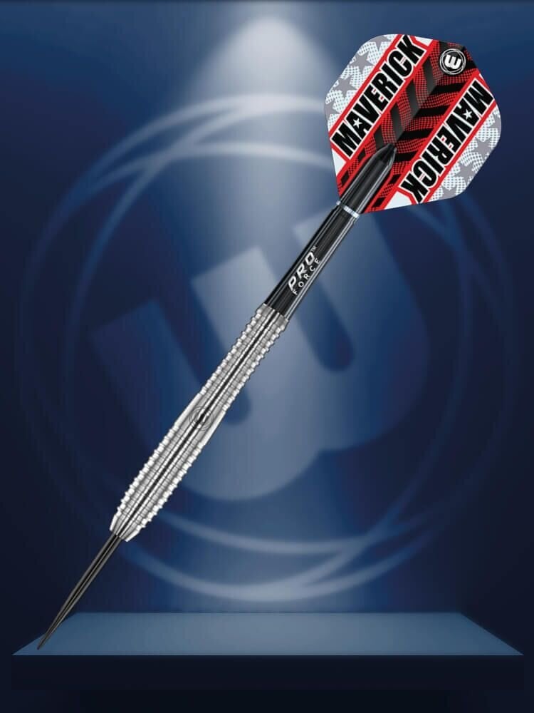 Smiginio strėlytės Winmau Maverick 23g kaina ir informacija | Smiginis | pigu.lt