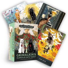 Grimalkins Curious Cats Tarot kortos Hay House цена и информация | Эзотерика | pigu.lt