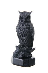 Статуэтка сова черная 10 см цена и информация | Детали интерьера | pigu.lt
