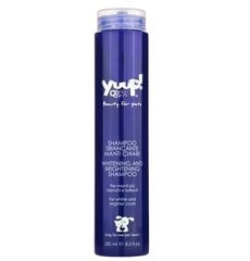 Yuup! Home Whitening and Brightening Shampoo - осветляющий шампунь для белых собак, для белой и светлой шерсти, 250 мл цена и информация | Косметические средства для животных | pigu.lt