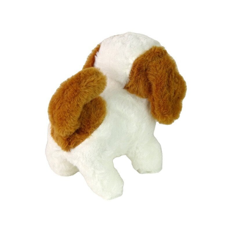 Interaktyvus šuniukas su priedais Lean Toys цена и информация | Žaislai mergaitėms | pigu.lt