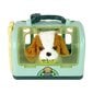 Interaktyvus šuniukas su priedais Lean Toys цена и информация | Žaislai mergaitėms | pigu.lt