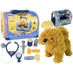 Žaislinis veterinaro rinkinys Lean Toys, 9d. цена и информация | Игрушки для девочек | pigu.lt