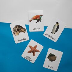 Lavinamųjų kortelių rinkinys Vandens gyvūnai kaina ir informacija | Lavinamieji žaislai | pigu.lt