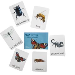 Lavinamųjų kortelių rinkinys Vabzdžiai ir kiti nariuotakojai kaina ir informacija | Lavinamieji žaislai | pigu.lt