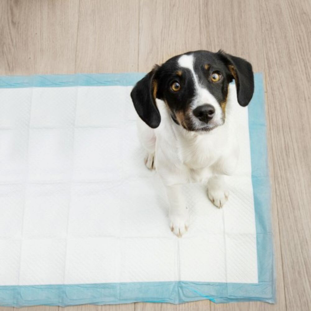 Vienkartinės šunų palutės 50 vnt. 60x60 cm + maišeliai 30 vnt. цена и информация | Priežiūros priemonės gyvūnams | pigu.lt