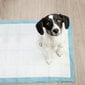 Vienkartinės šunų palutės 100 vnt. 60x40 cm + maišeliai 30 vnt. цена и информация | Priežiūros priemonės gyvūnams | pigu.lt