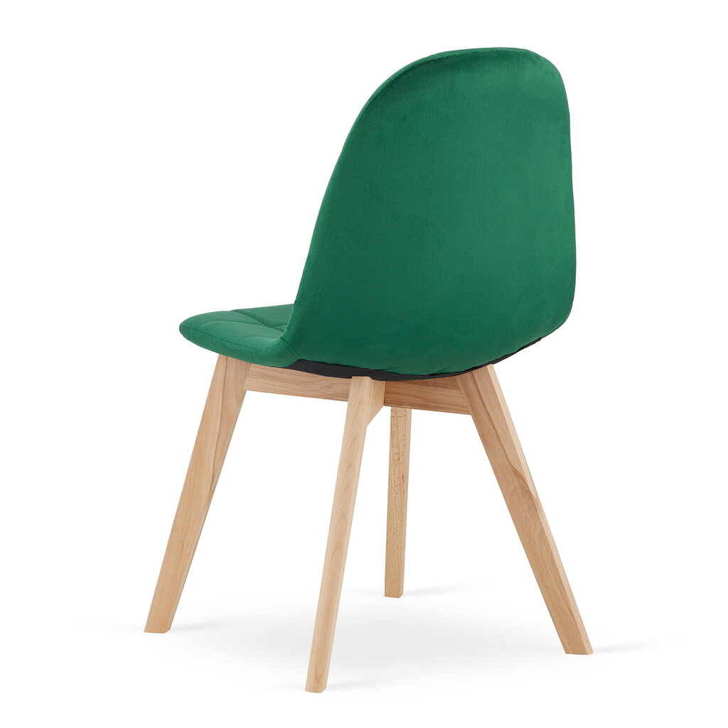 Kėdė Bora, žalia kaina ir informacija | Virtuvės ir valgomojo kėdės | pigu.lt