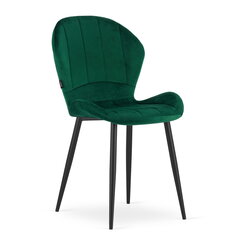 Kėdė Terni, žalia kaina ir informacija | Virtuvės ir valgomojo kėdės | pigu.lt