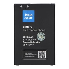 BlueStar 7561710 цена и информация | Аккумуляторы для телефонов | pigu.lt