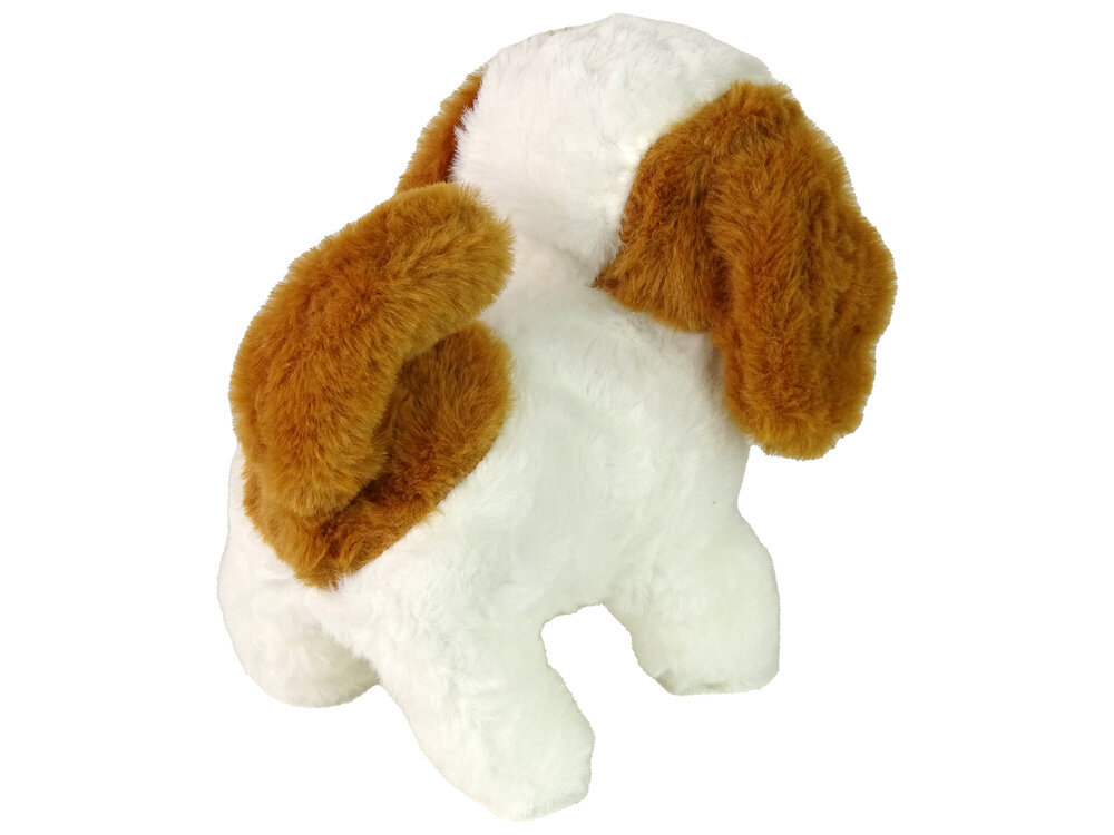 Žaislinis šunų priežiūros rinkinys Lean toys, žalias kaina ir informacija | Žaislai mergaitėms | pigu.lt