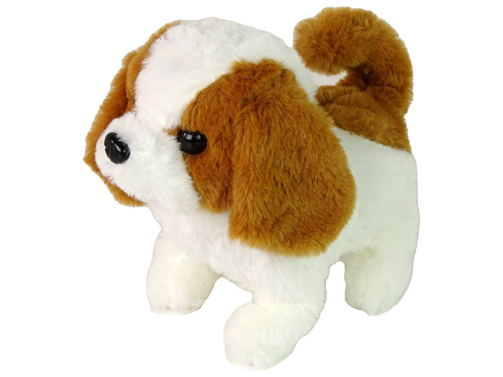 Žaislinis šunų priežiūros rinkinys Lean toys, žalias kaina ir informacija | Žaislai mergaitėms | pigu.lt