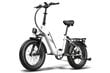 Elektrinis dviratis Fafrees FF20 Polar, 20", baltas kaina ir informacija | Elektriniai dviračiai | pigu.lt