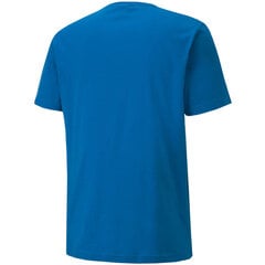 Puma marškinėliai vyrams teamGOAL 23 Casuals 656578 02, mėlyni kaina ir informacija | Vyriški marškinėliai | pigu.lt