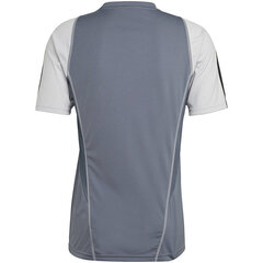 Koszulka męska adidas Tiro 23 Competition Jersey szara HP1906 58098-283 цена и информация | Футболка мужская | pigu.lt